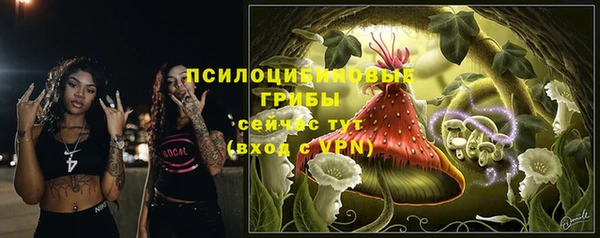 мяу мяу мука Абдулино